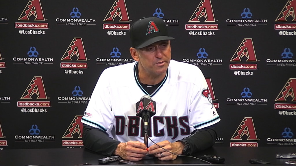 Lovullo: Robbie Ray and Jake Lamb can push D-backs to another level