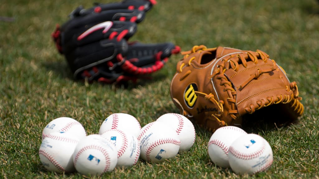 MLB suspends spring training and delays start of season due to coronavirus  concerns