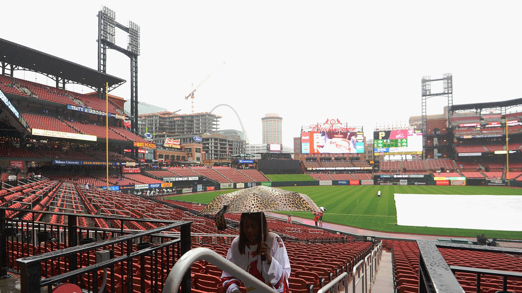 Cardinals-Nationals game suspended due to weather