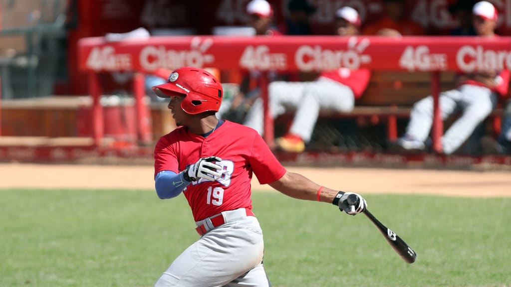 Tampa Bay Rays prospect Wander Franco hits for the cycle