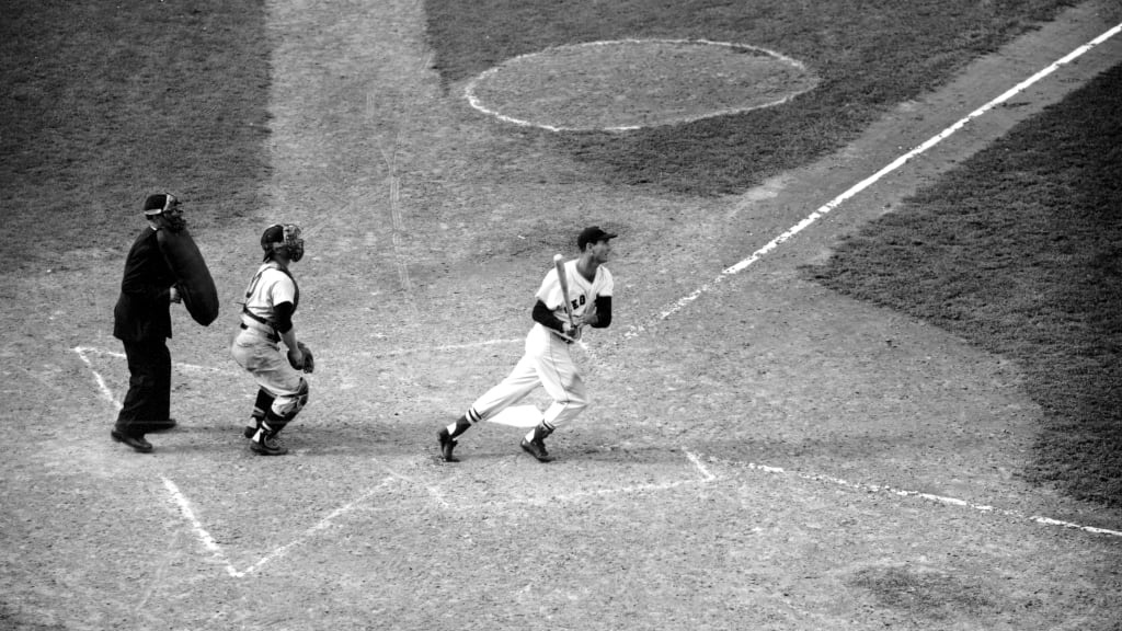 Ted Williams faces the Senators in 1954.