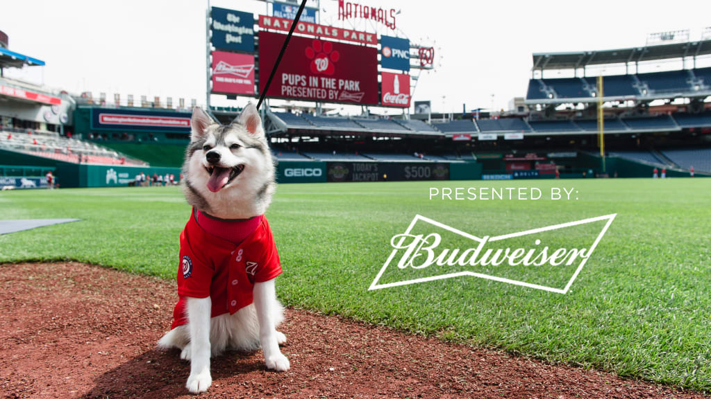 Pups in the Park presented by Budweiser Specials Tickets