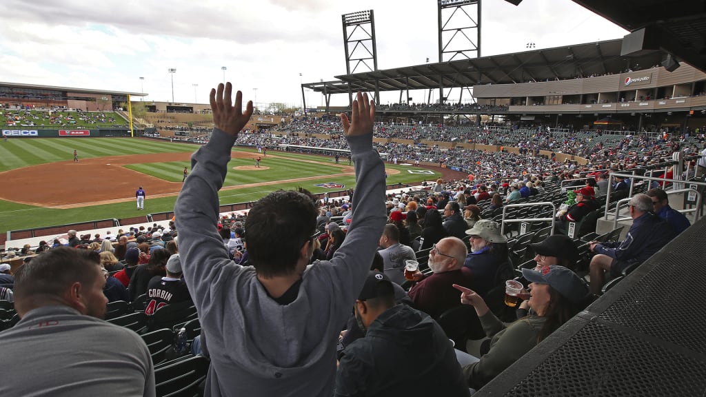 Fans watch a spring training exhibition baseball game between the Arizona Diamondbacks and the Colorado Rockies, Friday, Feb. 23, 2018, in Scottsdale, Ariz. (AP Photo/Ben Margot)