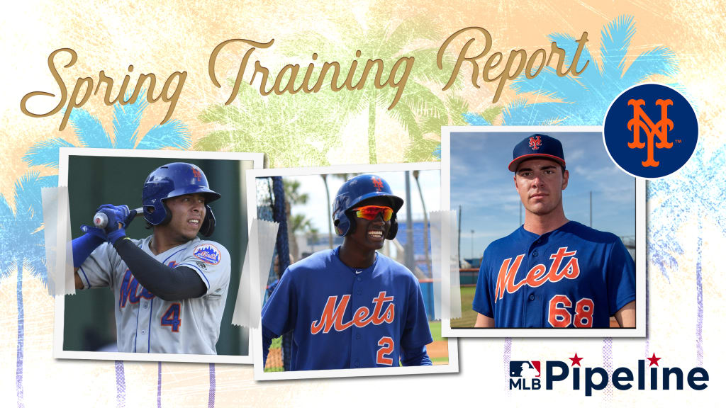 Mets Minor League Spring Training report