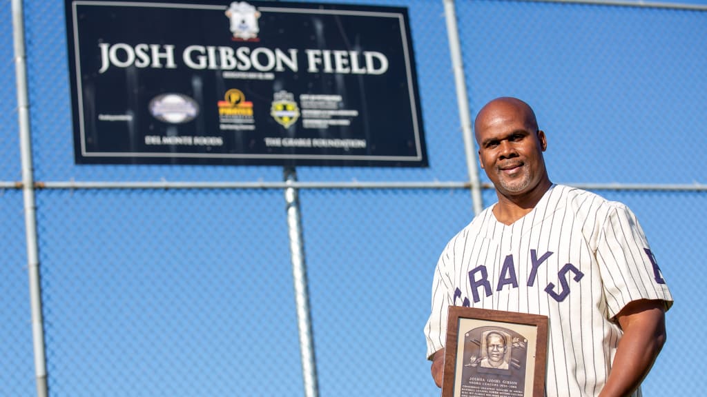 Sean Gibson's great-grandfather was known as "the Black Babe Ruth."