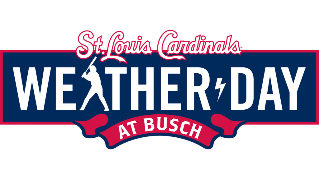 Buy Starry Night Busch Stadium St. Louis Cardinals Art St Louis