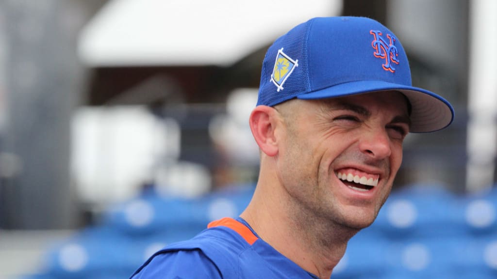 Meet David Wright, the Real Mr. Met - The New York Times