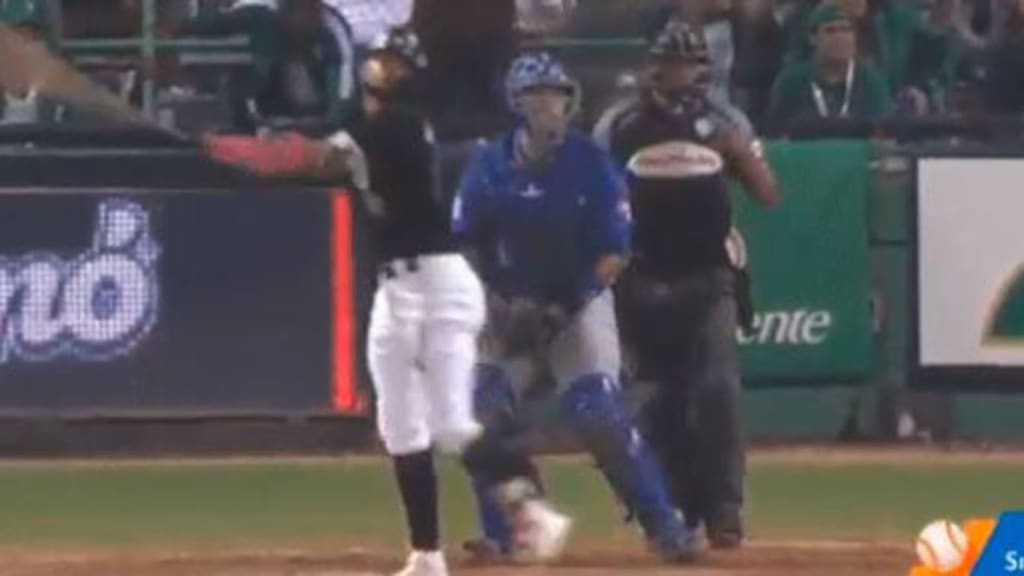 This unbelievable bat flip from Fernando Tatis Jr. proves that winter is  still baseball season