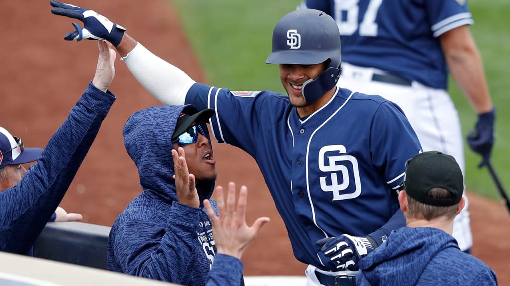 la familia tatis jr - Fernando Tatis Jr Fanaticos