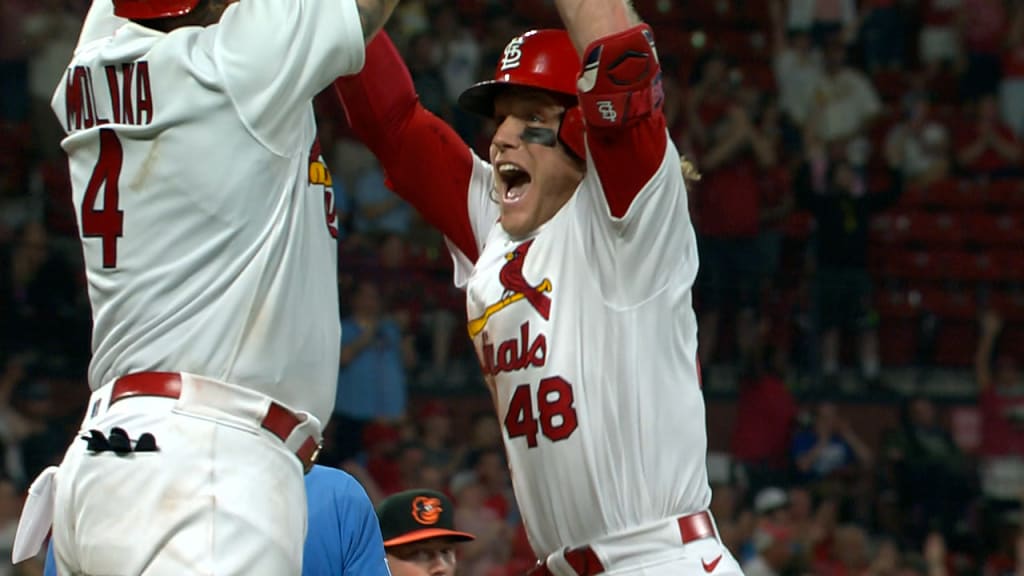 Harrison Bader at Wrigley Field  St louis cardinals baseball, Mlb