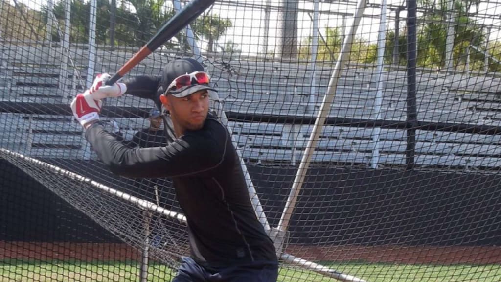 Top Int'l Prospects: Gurriel Jr.