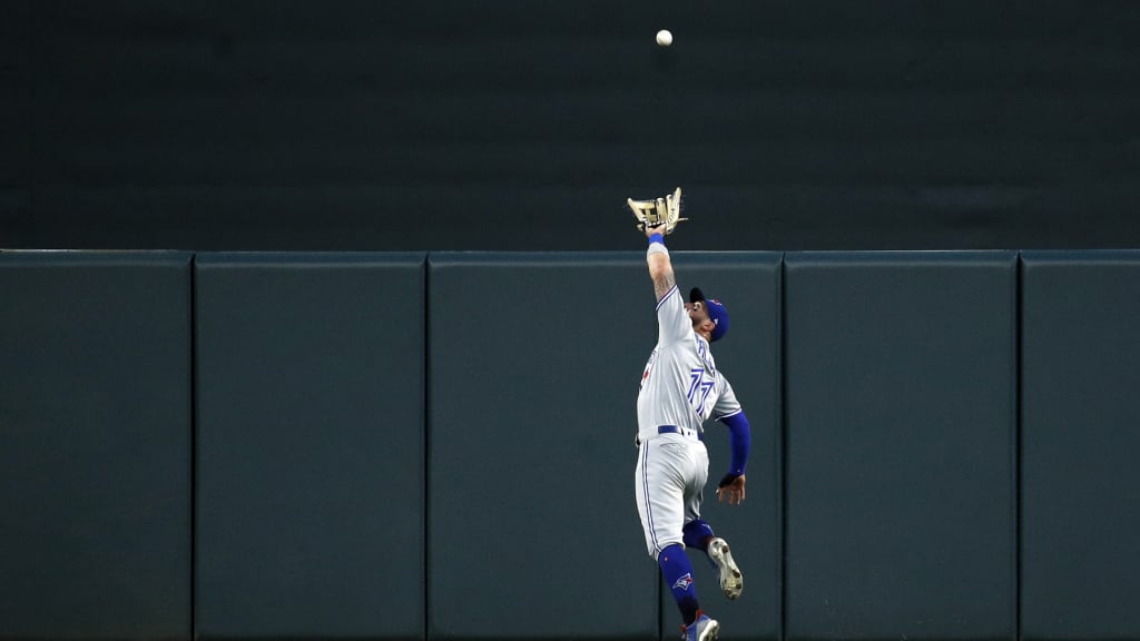 Donaldson flies into stands for amazing catch 