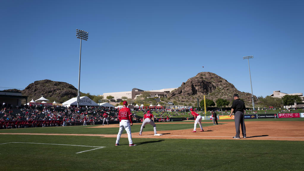 Angels to allow fans at Spring Training