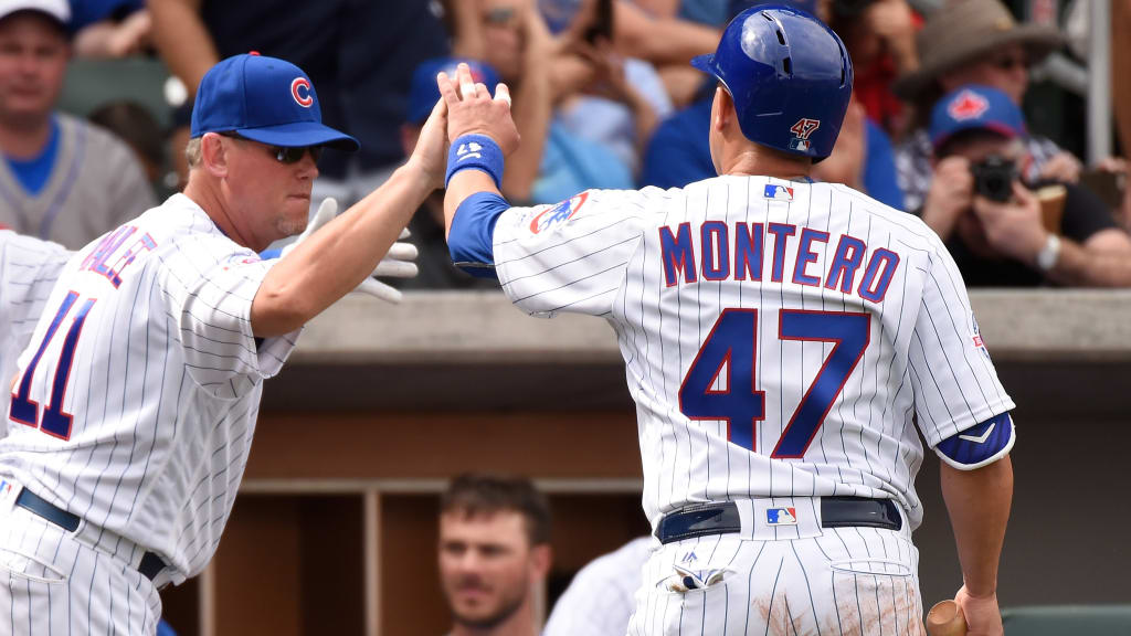 Hitting coach John Mallee is eager to help the Cubs' lineup, including veterans like Miguel Montero, succeed at the plate. (Getty Images)