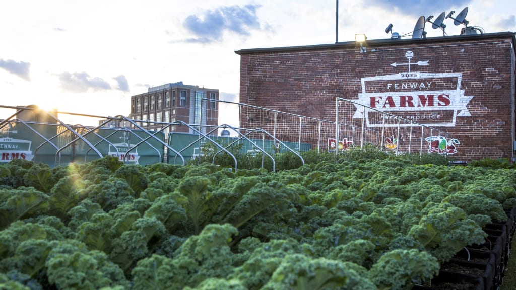 Fenway Park has a farm, and it's enormous - Green Sports Alliance