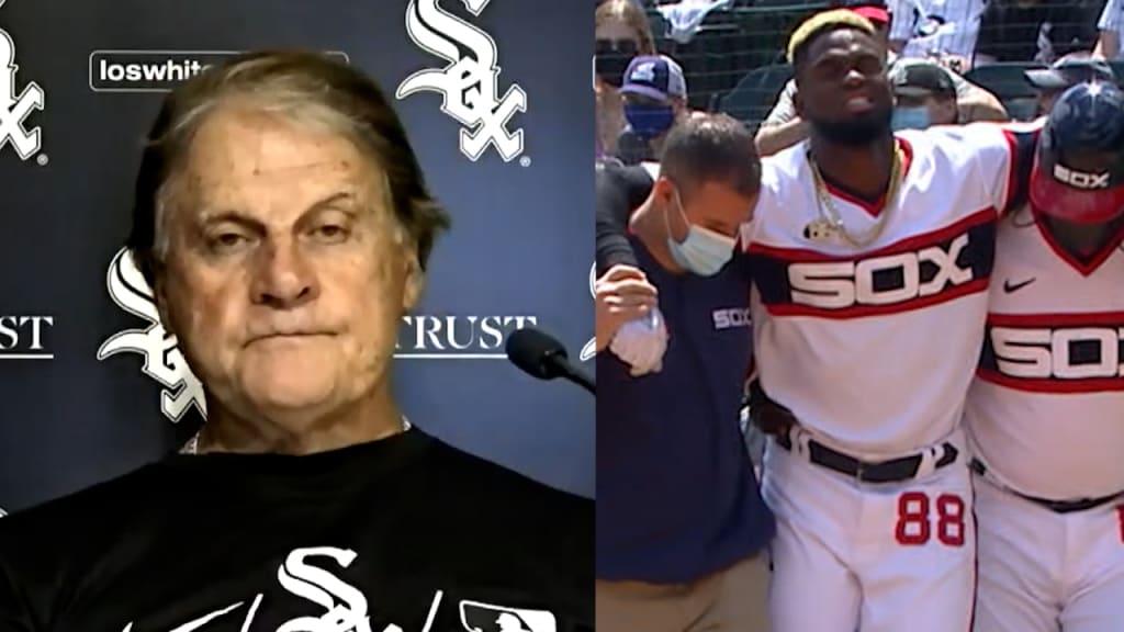 Chicago White Sox CF Luis Robert out 12-16 weeks with right hip