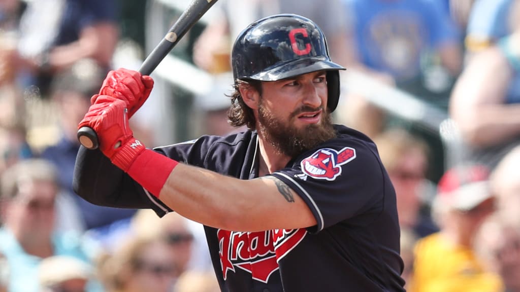 Eric Haase, Jon Edwards called up to Indians