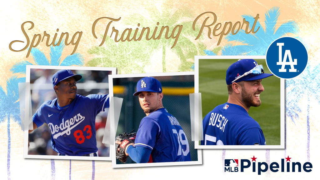 Dodgers Minor League Spring Training report