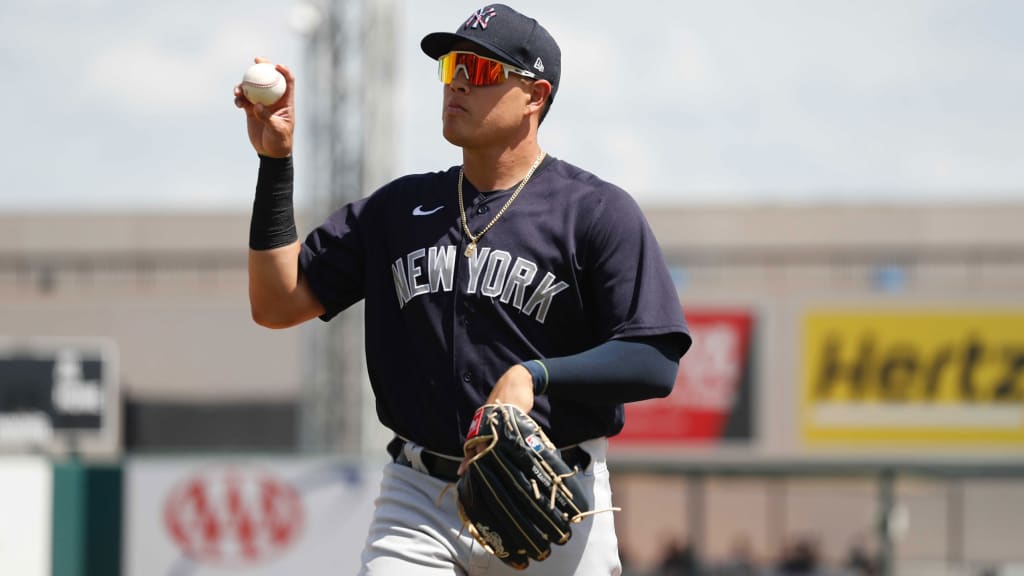 Yankees top prospect dazzles in first career at-bat