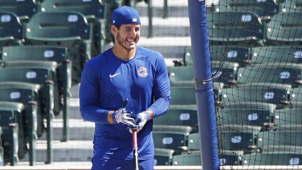 File:Cubs first baseman Anthony Rizzo looks on during batting practice  before NLCS Game 6. (29872632163) (cropped).jpg - Wikimedia Commons