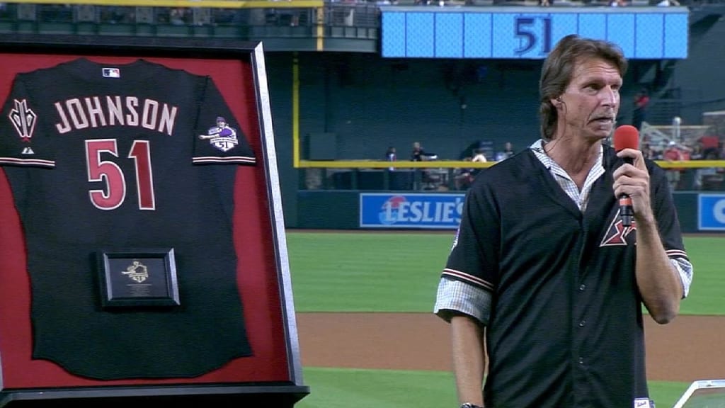 Randy Johnson compared to other retired D-backs numbers