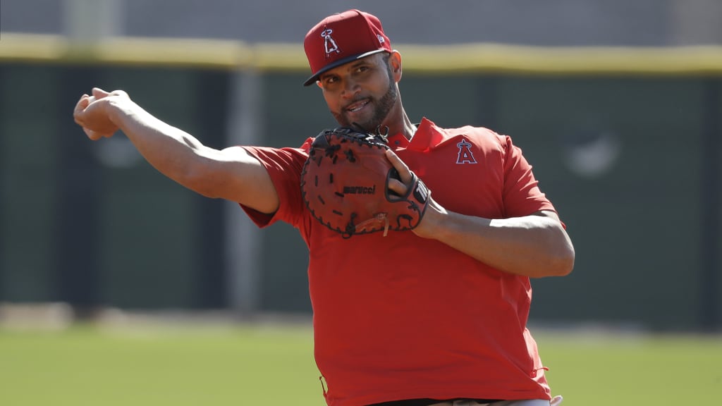 Angels News: Albert Pujols Named Special Assistant to MLB Commissioner -  Los Angeles Angels