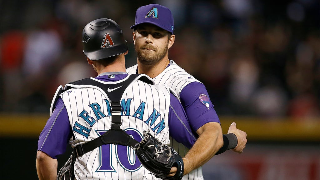 Chris Herrmann and J.J. Hoover are among the D-backs' group of arbitration-eligible players who could be non-tendered. (AP)