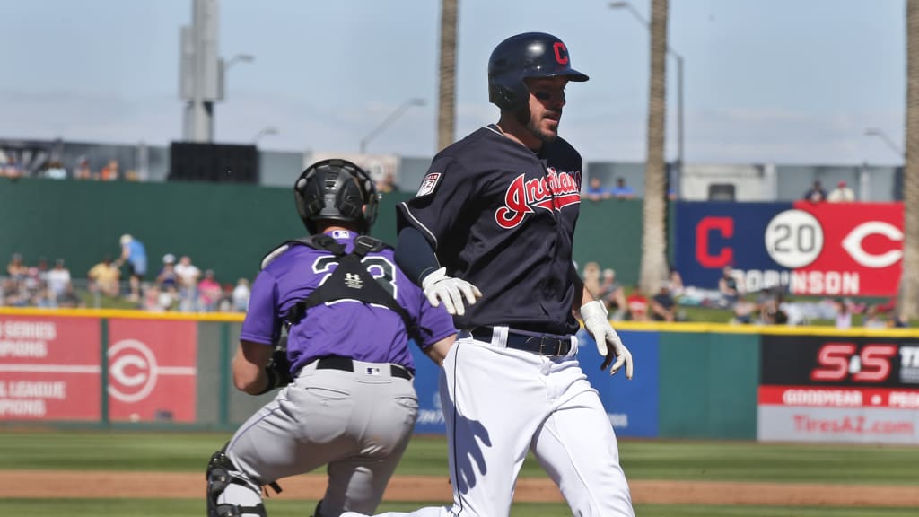 Indians  Rookie Naquin makes opening day roster