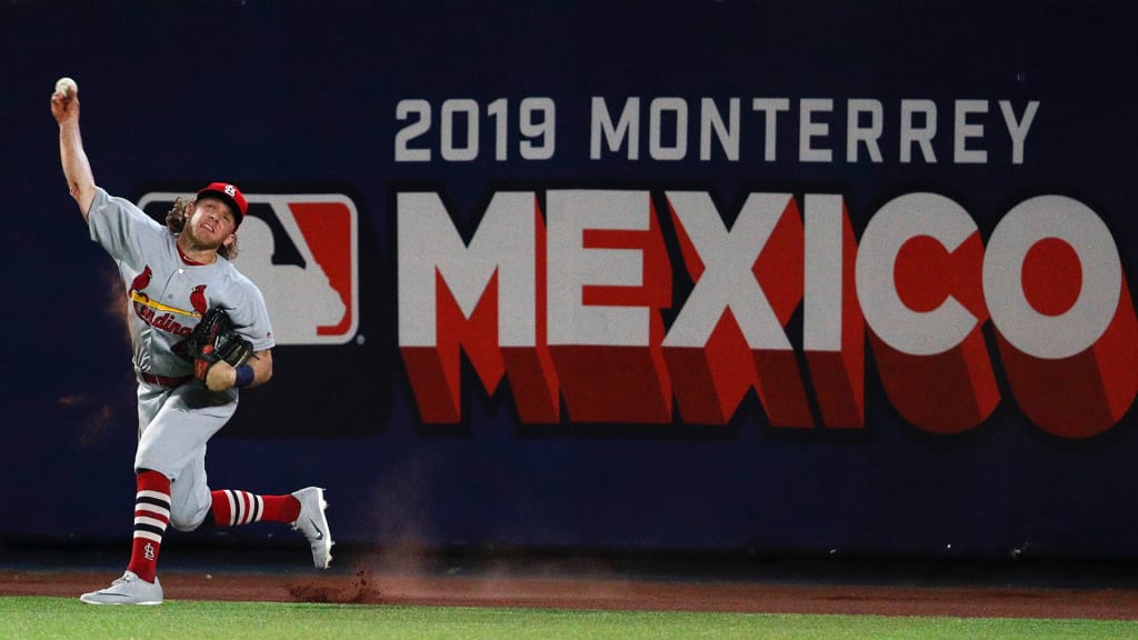 New York Yankees Harrison Bader (31), on rehab assignment with