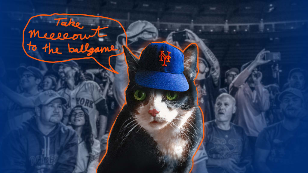 Cats and Baseball