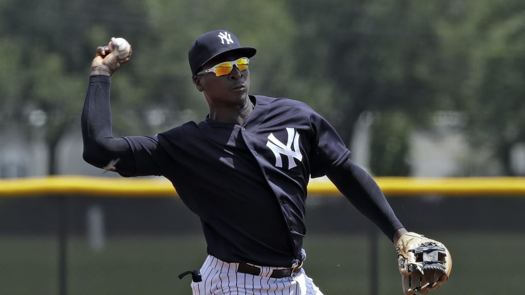 Didi Gregorius: The New NY Yankees Shortstop