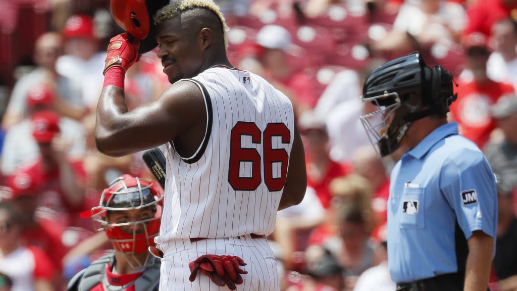 Reds lift weights in dugout before game