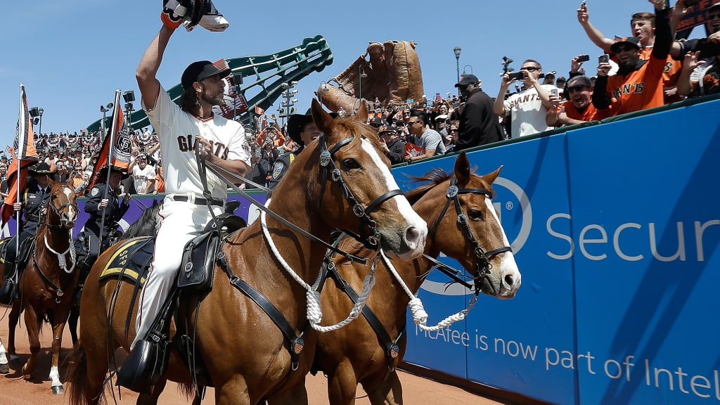 Madison Bumgarner Competed in Rodeos During MLB Off Season