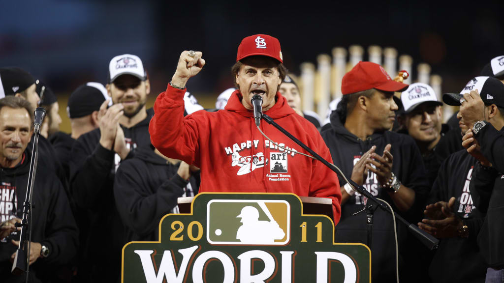 St. Louis Cardinals 2011 World Champions 15'' x 18'' Plaque