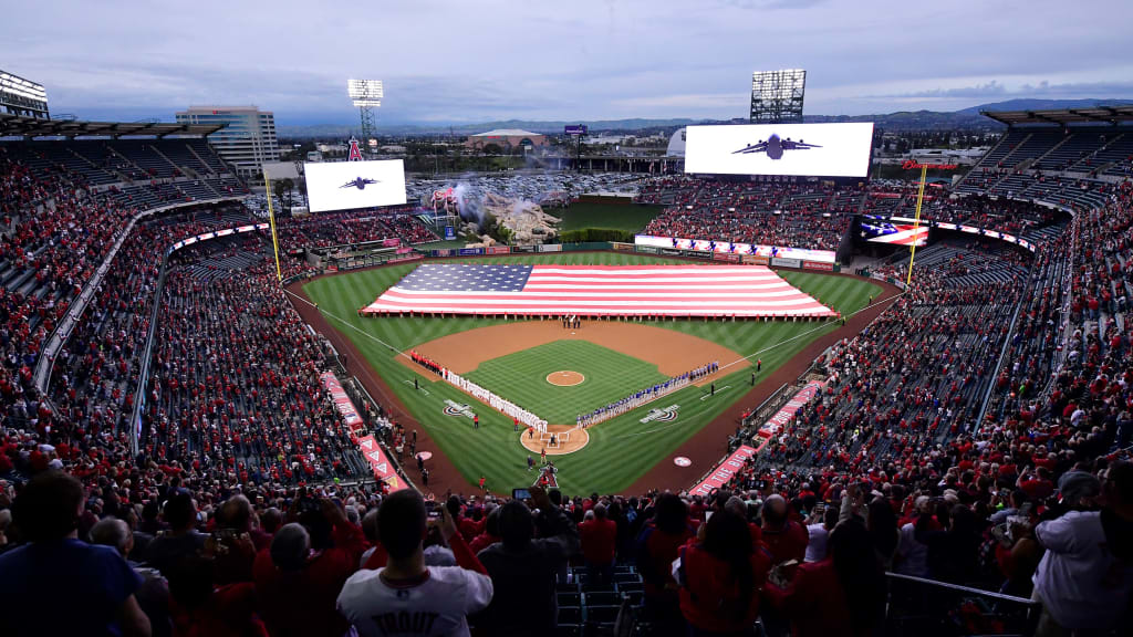 Los Angeles Angels Stadium #baseball  La angels baseball, Angels baseball  team, Angels baseball