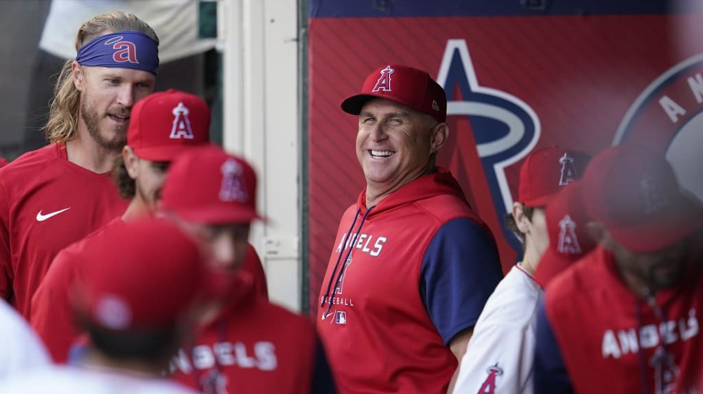 Joe Maddon to manage Angels - The Boston Globe