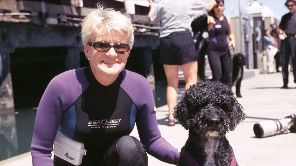 The Giants used dogs in McCovey Cove