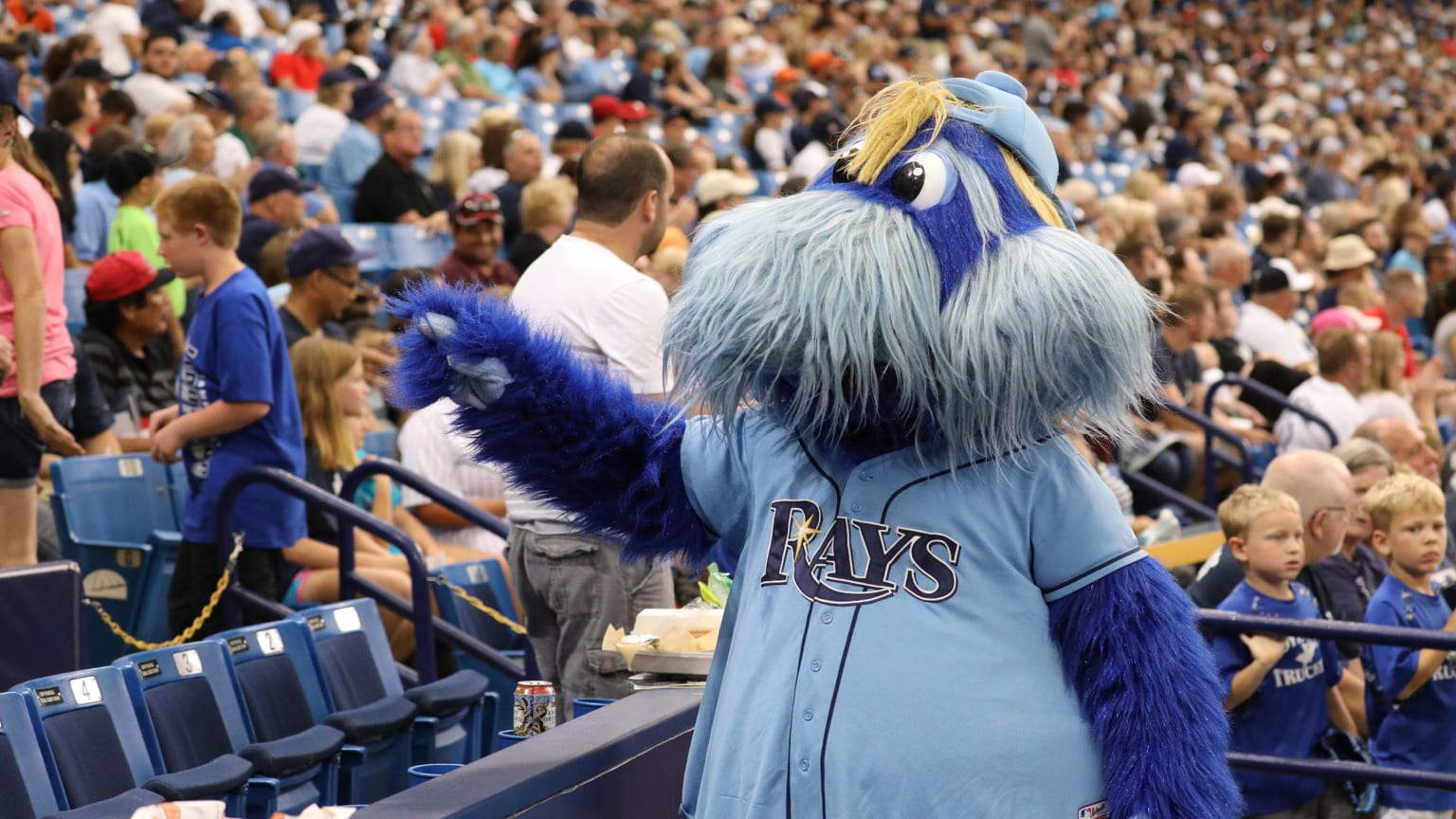 Rays Watch Party, Fans