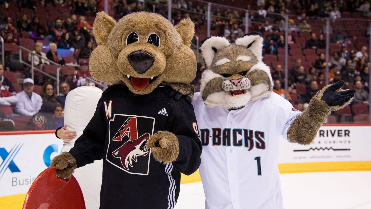 Arizona Coyotes - Want one of these sweet Arizona Diamondbacks