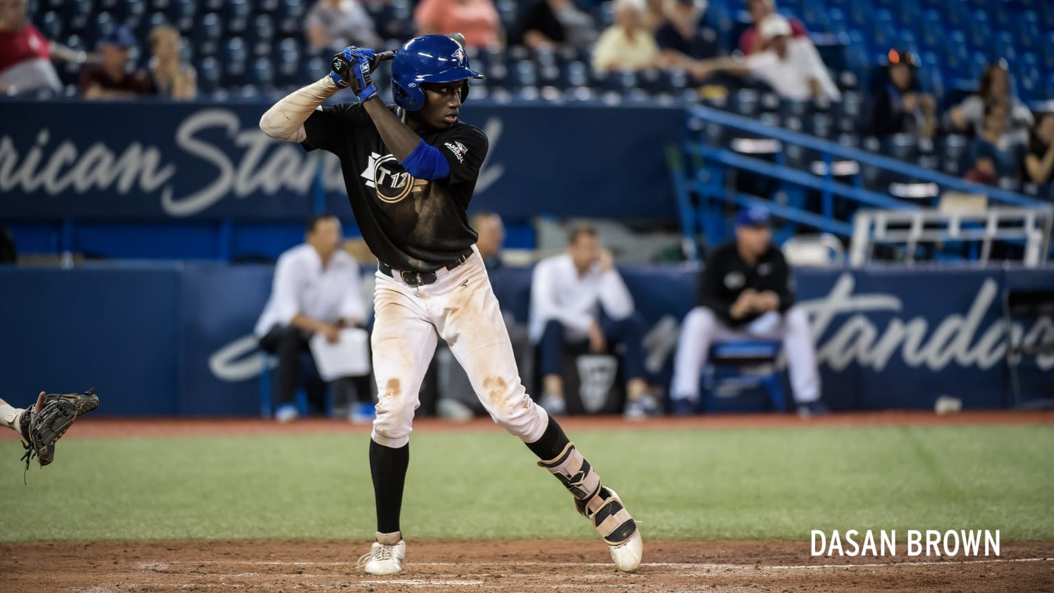 Baseball Academy Toronto Blue Jays