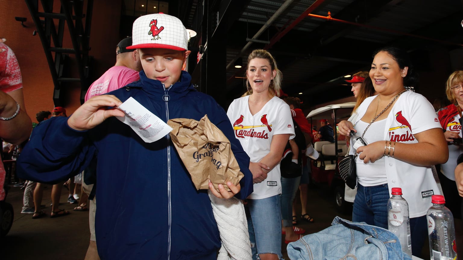  Turner Licensing, St Louis Cardinals Medium GoGo Gift Bag by  MLB : Health & Household