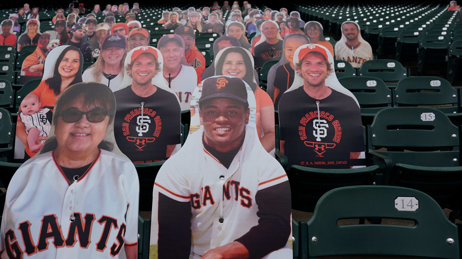 World Series: S.F. Giants, Detroit Tigers' Celebrity Fans – The