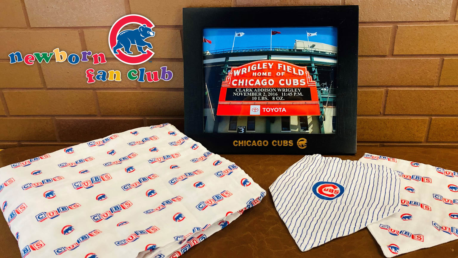 Chicago Cubs Baseball Tee – babyfans