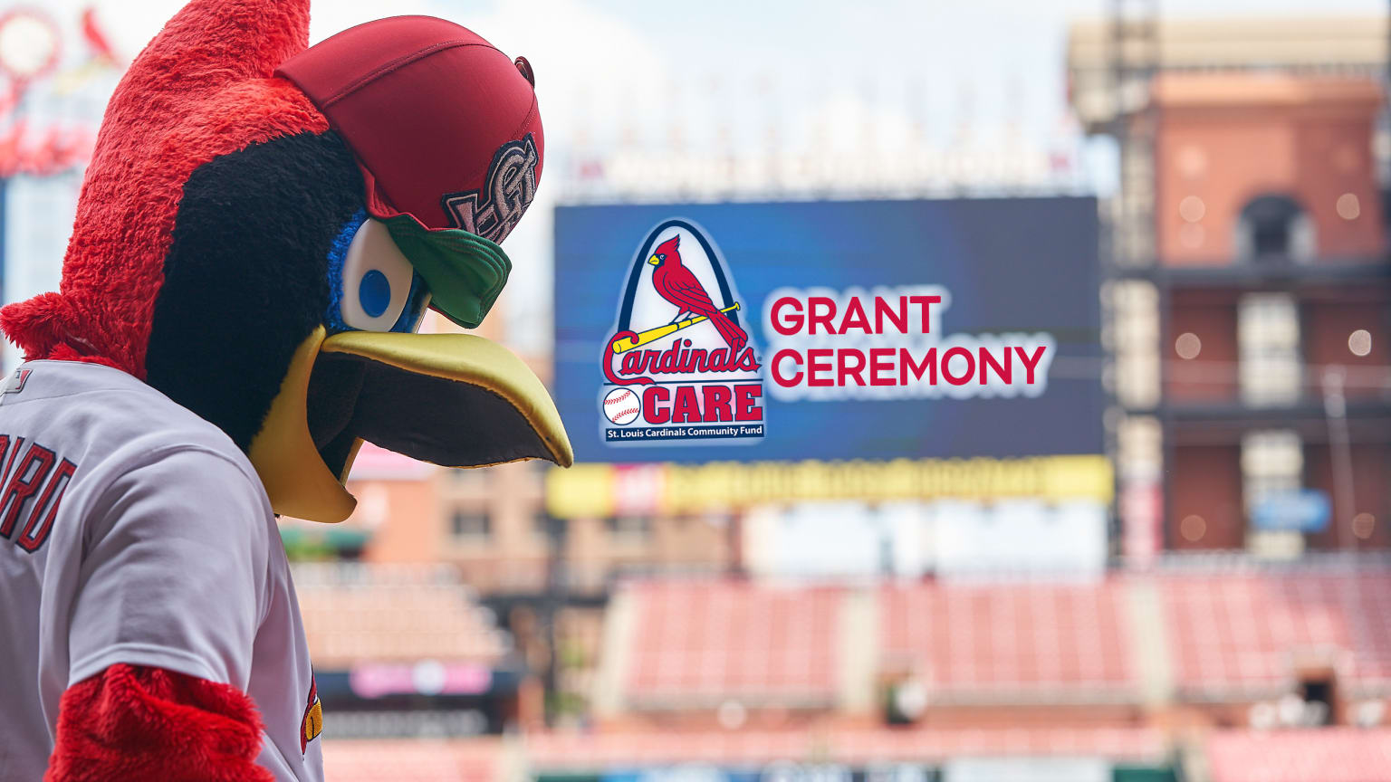 cardinals-care-grants-st-louis-cardinals