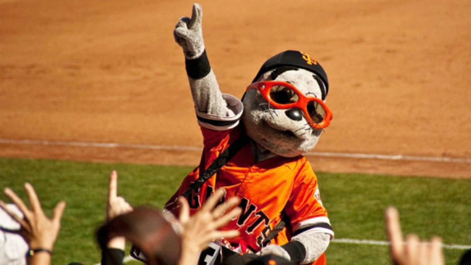 The San Francisco Giants mascot Lou Seal stands on the field