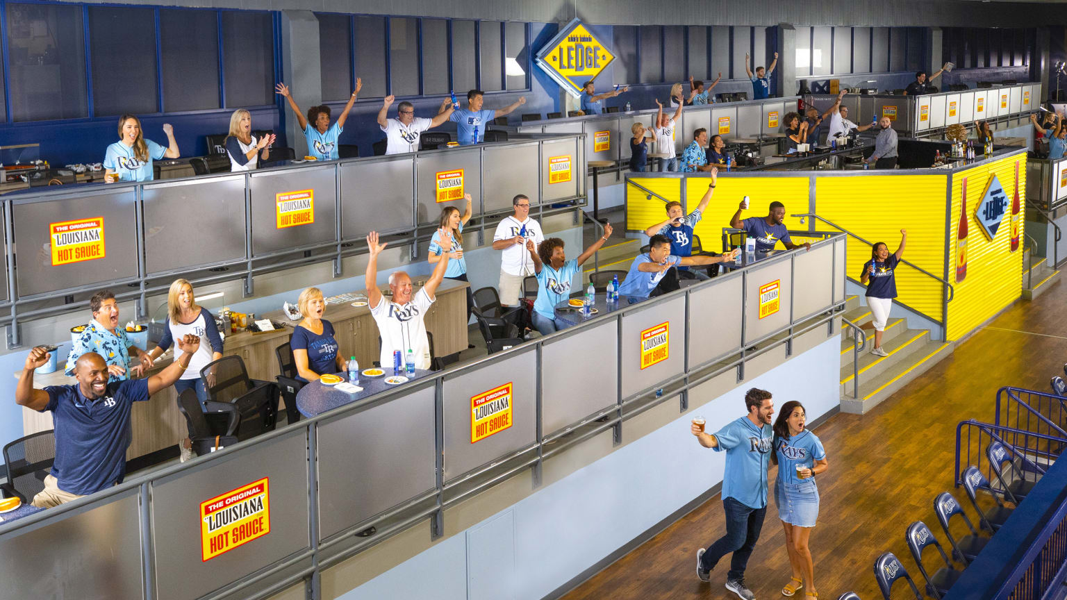 Group Seating and Pricing Tampa Bay Rays