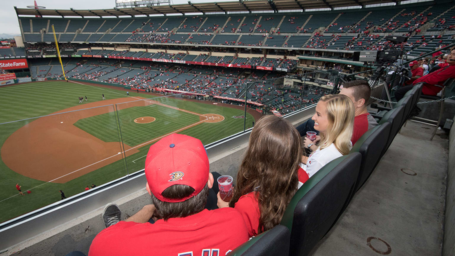 LA Angels of Anahiem/Angel Stadium Wall Mural, Sky Box Sports Scenes