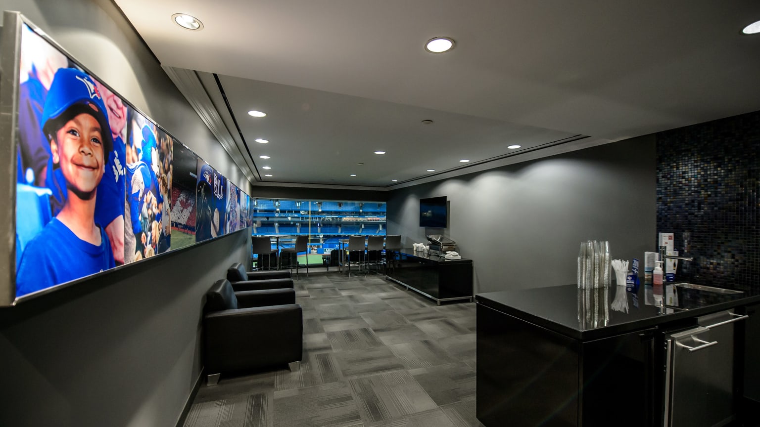 Toronto Blue Jays Premium Suites For Business Toronto Blue Jays