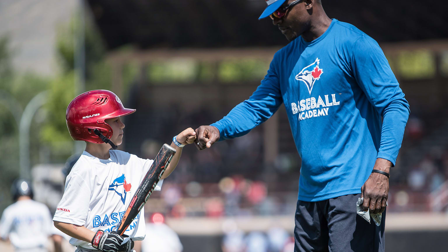 Baseball Academy Toronto Blue Jays