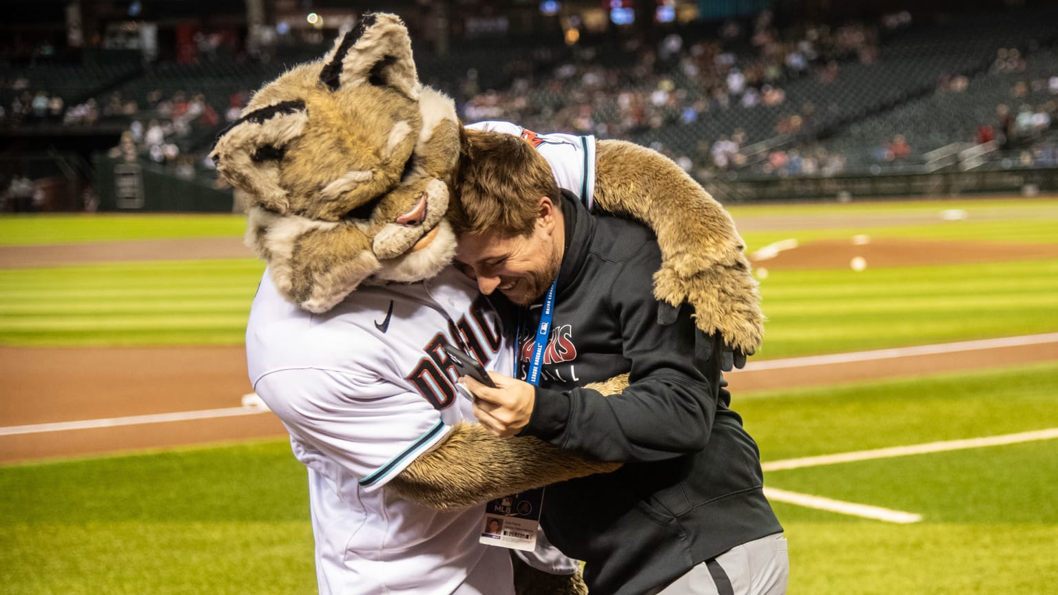 Culture and Careers Arizona Diamondbacks